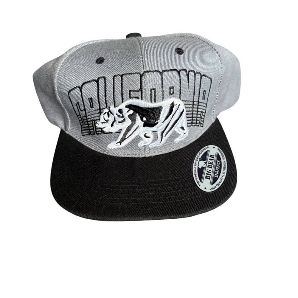 California Gray and Black Snapback Hat